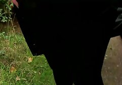 lesbianas porno panama colon interracial